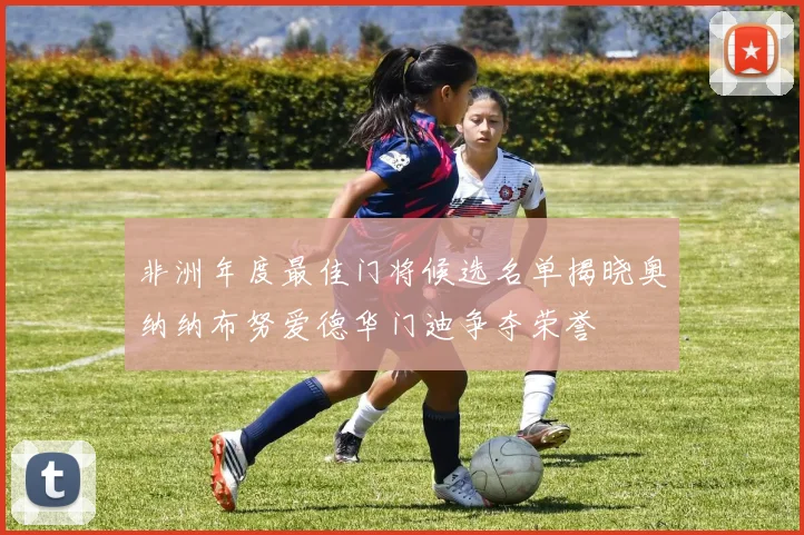 非洲年度最佳门将候选名单揭晓奥纳纳布努爱德华门迪争夺荣誉
